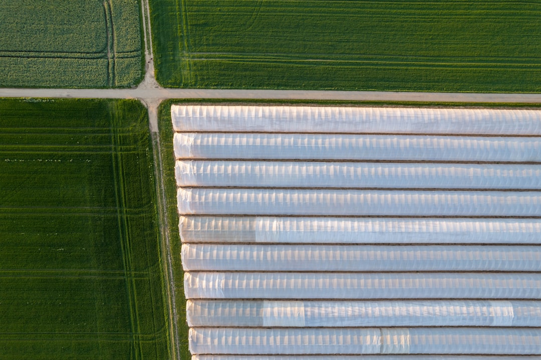 Photo agricultural technologies